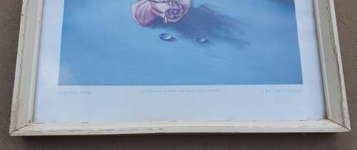 Framed print - Weeping Rose - TRETCHIKOFF