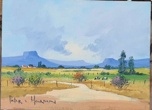 Original oil painting by PIETER VAN HEERDEN