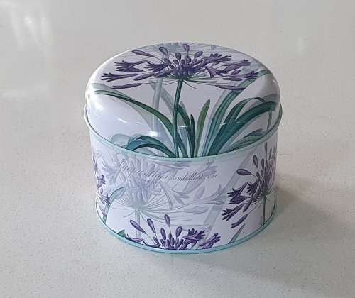 Small Agapanthus tin as per photos