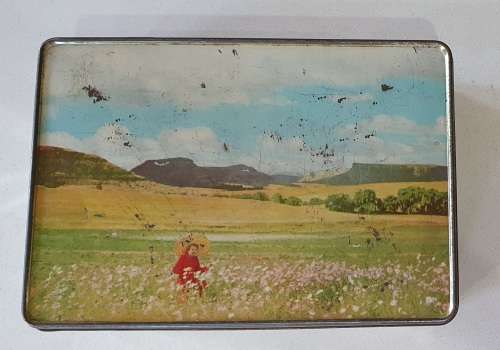 D`Orsay confectionery biscuits tin with Cosmos flowers in the Eastern Free State as per photos