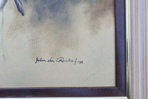 Original framed oil painting by Johan van Rensburg