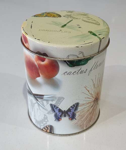 Dragonflies and butterflies theme tin as per photos