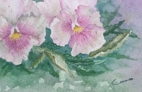 Original framed watercolour painting by Connie de Lange as per photo