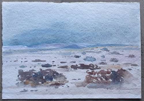 Original unframed watercolor Namibia scene painting by Gerrit van Schouwenburg as per photos
