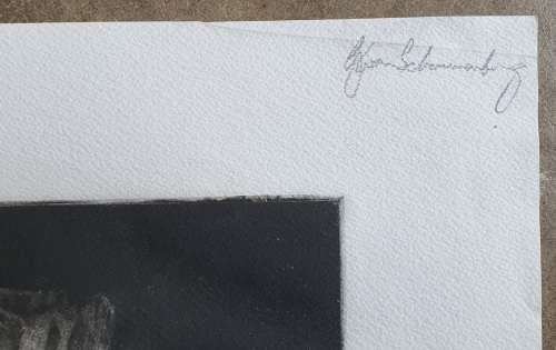 Original unframed etch of a flower by Gerrit van Schouwenburg as per photos