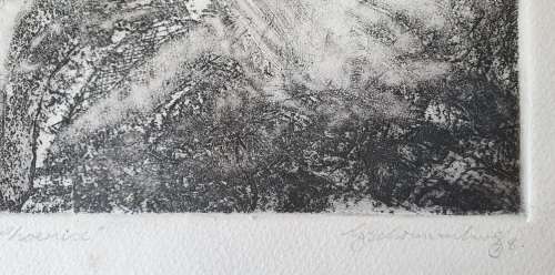 Original unframed etch 1/5 `Phoenix` by Gerrit van Schouwenburg as per photos