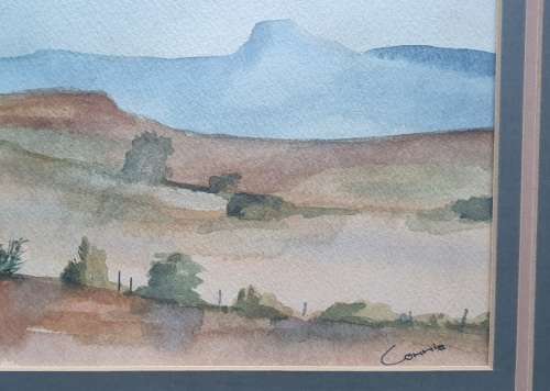 Original framed watercolour painting by Connie de Lange as per photo