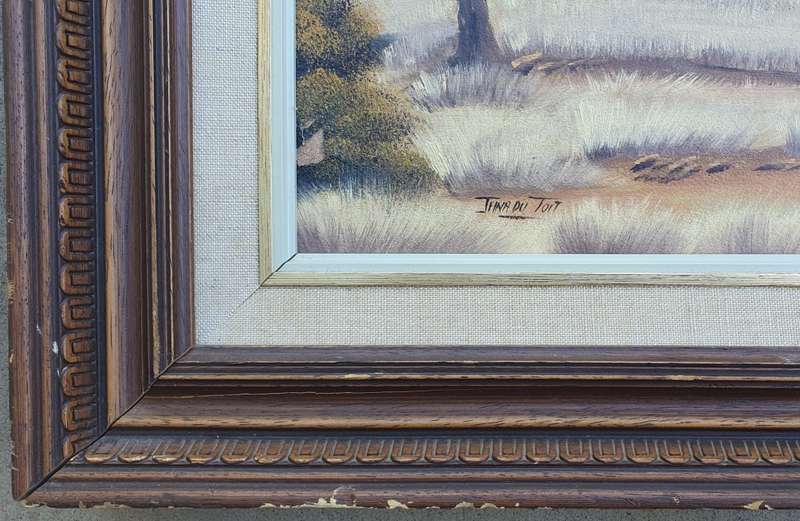 Original framed oil painting by JANA DU TOIT