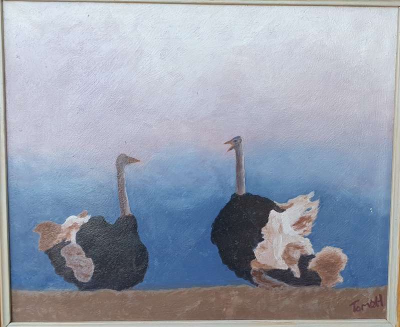 Original acrylic painting by TOM VAN DEN HEEVER as per photos of Ostriches