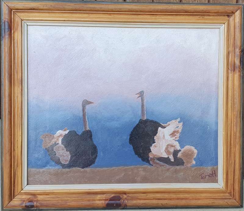 Original acrylic painting by TOM VAN DEN HEEVER as per photos of Ostriches
