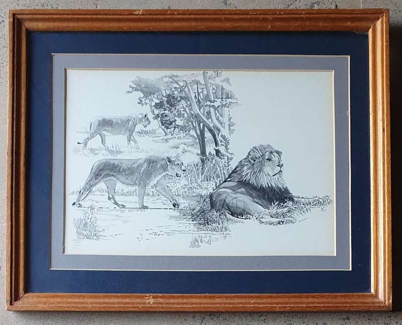 Framed lion (wild life) print as per photos