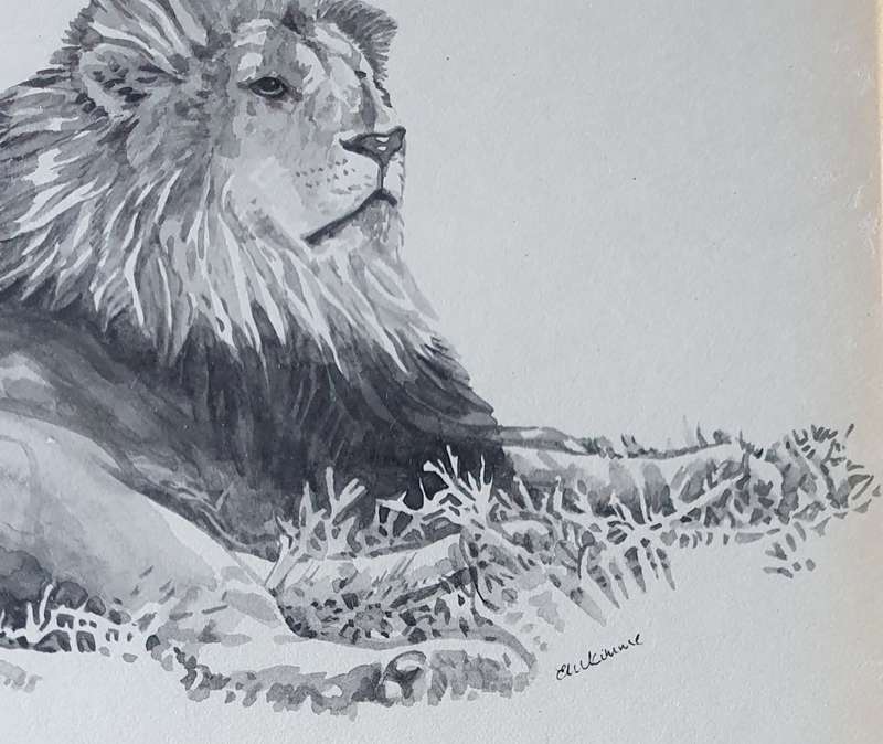 Framed lion (wild life) print as per photos