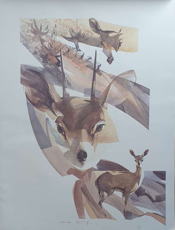 Wild life Print of a painting by Derric van Rensburg as per photo