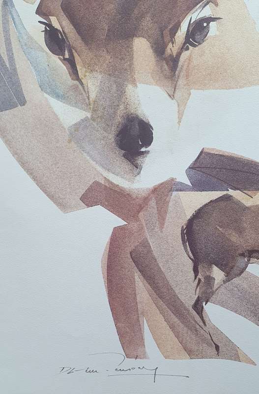Wild life Print of a painting by Derric van Rensburg as per photo