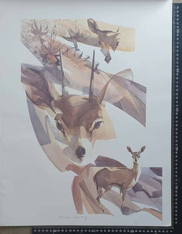 Wild life Print of a painting by Derric van Rensburg as per photo