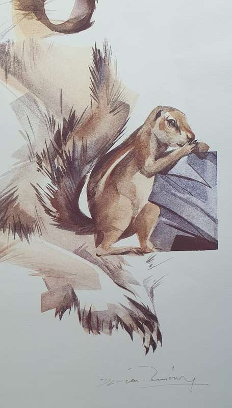 Wild life Print of a painting by Derric van Rensburg as per photo