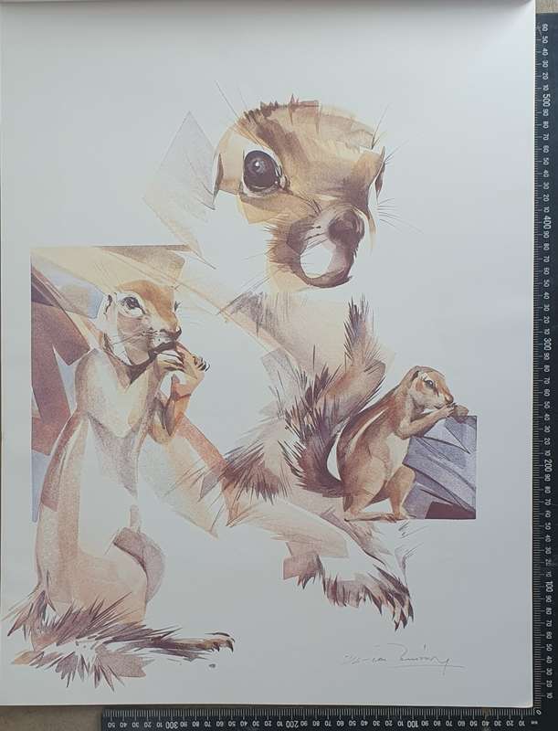 Wild life Print of a painting by Derric van Rensburg as per photo