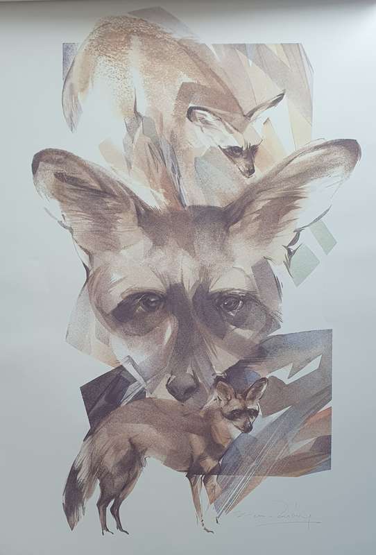 Wild life Print of a painting by Derric van Rensburg as per photo