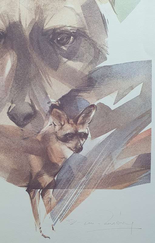 Wild life Print of a painting by Derric van Rensburg as per photo