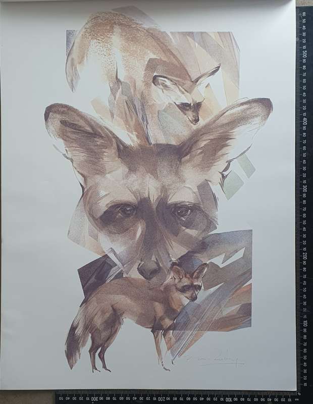 Wild life Print of a painting by Derric van Rensburg as per photo