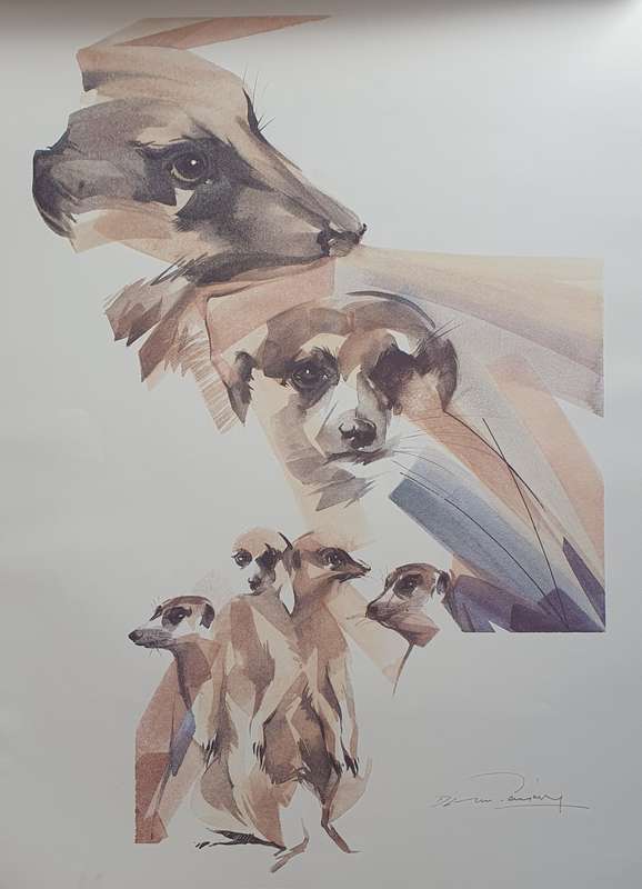 Wild life Print of a painting by Derric van Rensburg as per photo