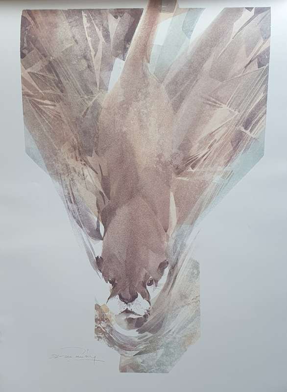 Wild life Print of a painting by Derric van Rensburg as per photo