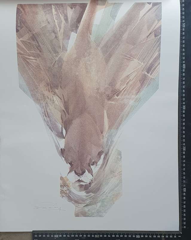 Wild life Print of a painting by Derric van Rensburg as per photo