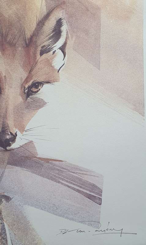Wild life Print of a painting by Derric van Rensburg as per photo