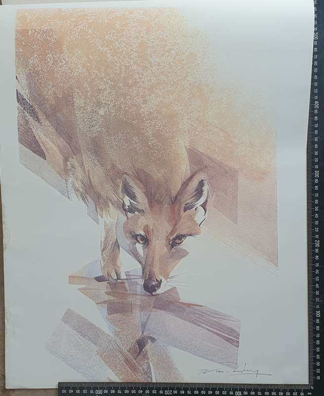 Wild life Print of a painting by Derric van Rensburg as per photo