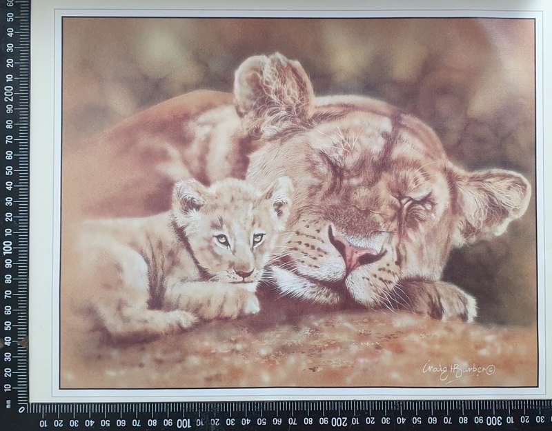 Wild life Print of a painting by Graig H. Barber as per photo