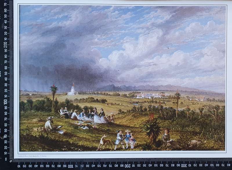 Print of a painting by Thomas Baines (1820-1875) as per photo