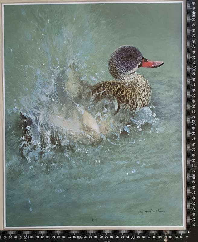Wild life Print of a painting by RAY HARRIS-CHING as per photo