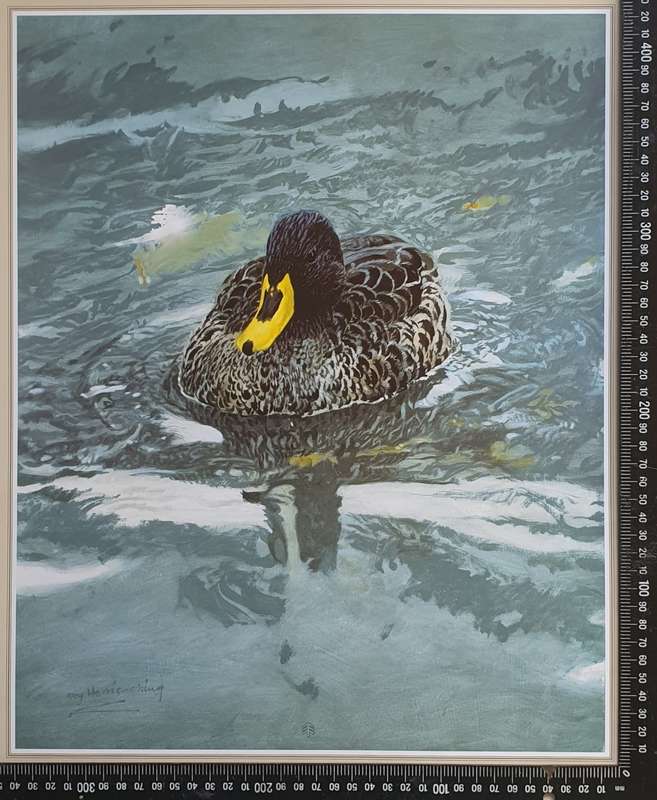Wild life Print of a painting by RAY HARRIS-CHING as per photo