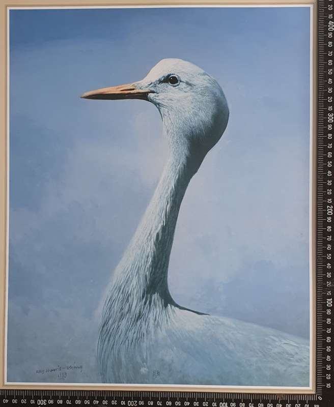 Wild life Print of a painting by RAY HARRIS-CHING as per photo