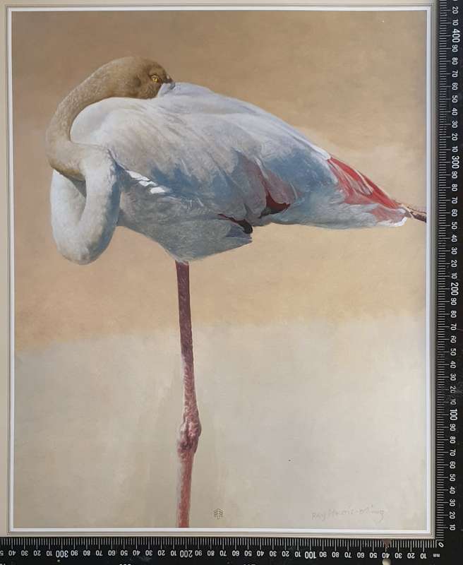 Wild life Print of a painting by RAY HARRIS-CHING as per photo