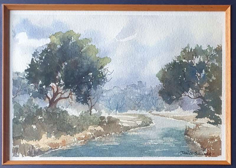 Original framed watercolour  painting by JANICE SKINNER as per photos