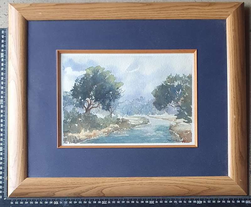 Original framed watercolour  painting by JANICE SKINNER as per photos