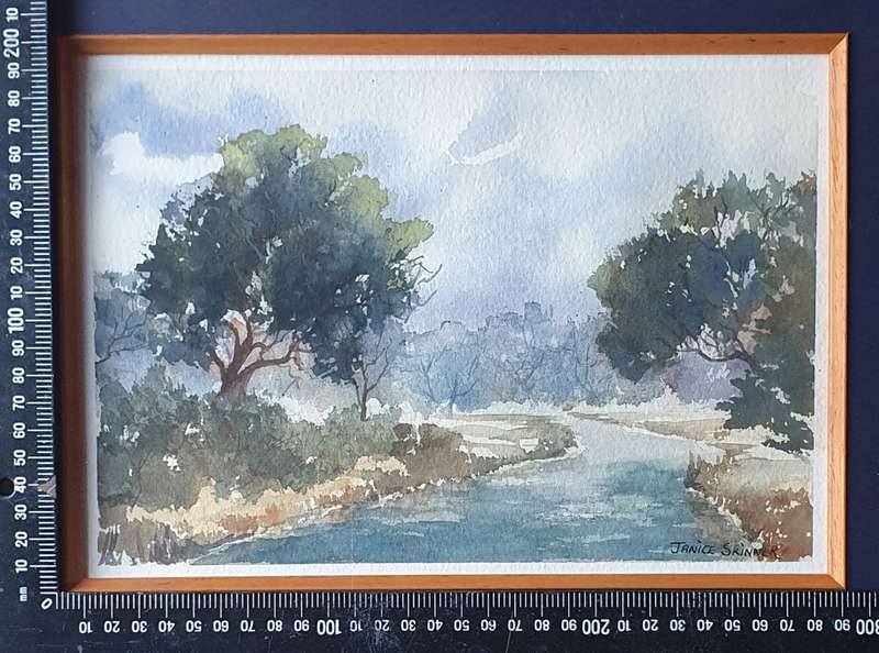 Original framed watercolour  painting by JANICE SKINNER as per photos