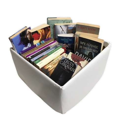 Mystery Book Box - 20 Books - English