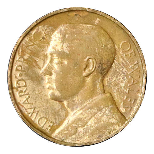 1925 South African Bronze medallion, Visit by Edward prince of Wales to SA