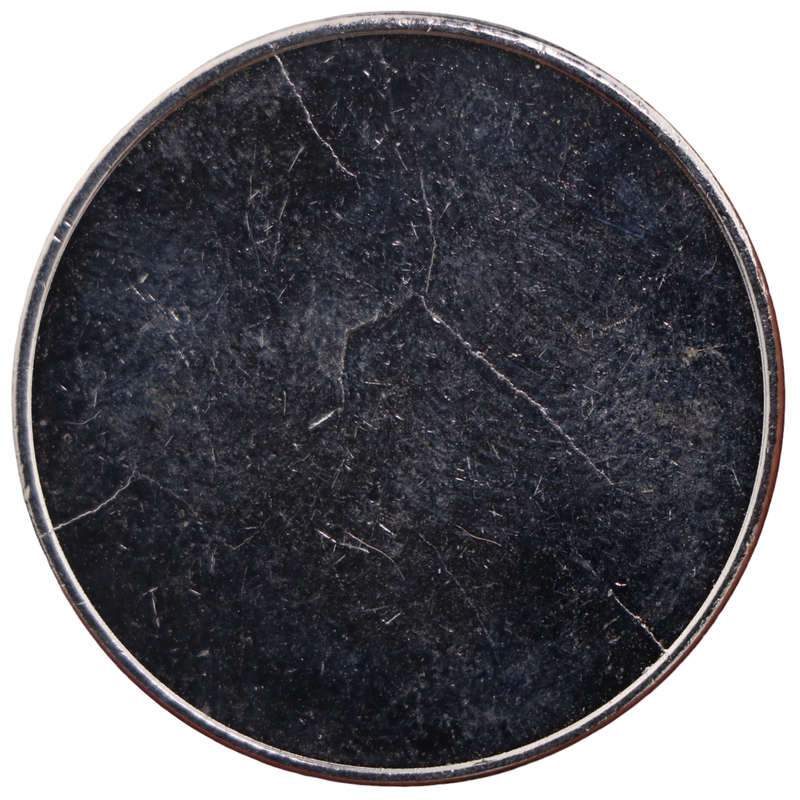 Walt Disney World Theme Park Magic Kingdom Token