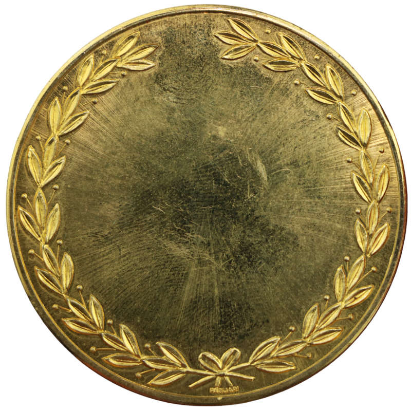 unissued Rally Medal, undated, 50 grams, 50mm