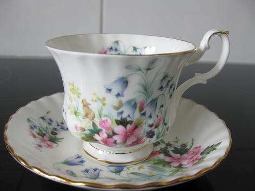 Royal Albert Honey Lane Tea Duo