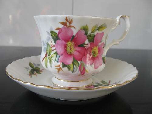 Royal Albert Prairie Rose Tea Duo