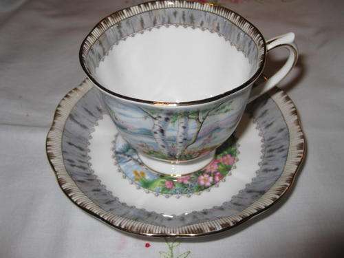 Royal Albert Silver Birch Tea Duo