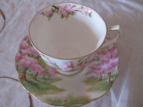 Royal Albert Blossom Time Tea Duo