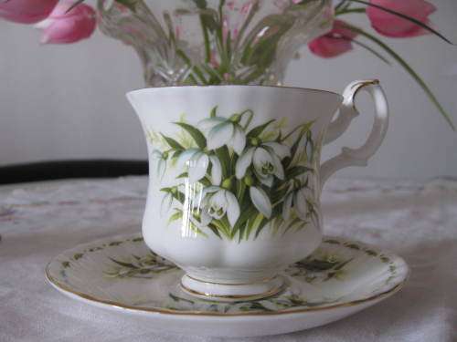 Royal Albert Flower of the Month January Coffee duo