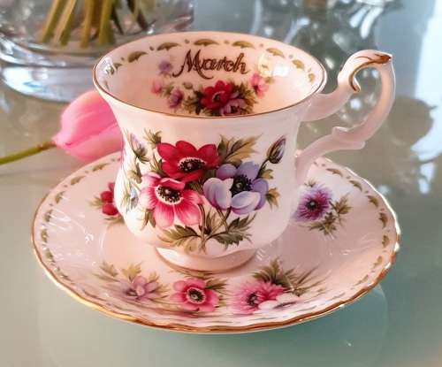 Royal Albert Flower of the Month March Coffee Duo