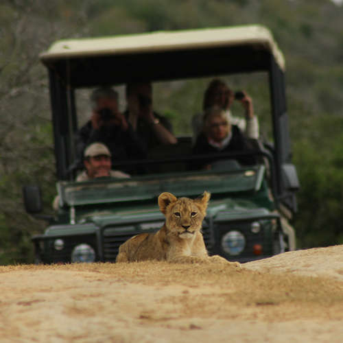 Bush Break at Amakhala Game Reserve #MH085-2015