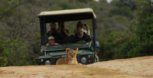 Bush Lodge